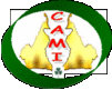 Cameroonian Community In Ireland (CAMI)