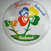Mauritian Network Ireland