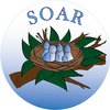 SOAR logo